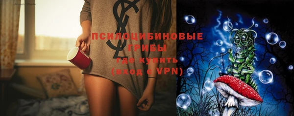 прущие грибы Зеленодольск