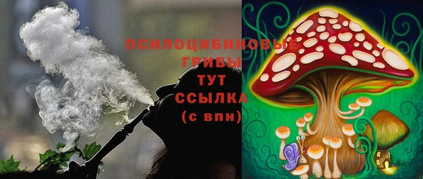 прущие грибы Зеленодольск