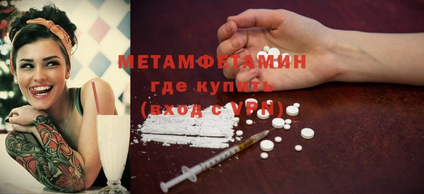 прущие грибы Зеленодольск