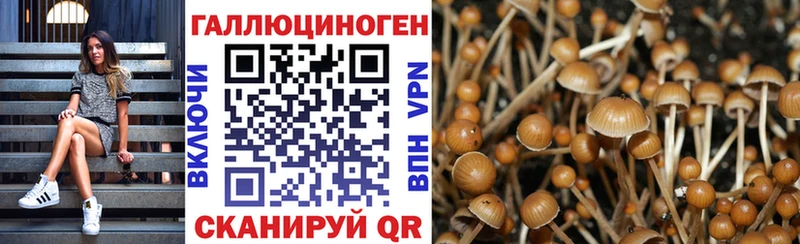 Купить  Скопин  Псилоцибиновые грибы прущие грибы 